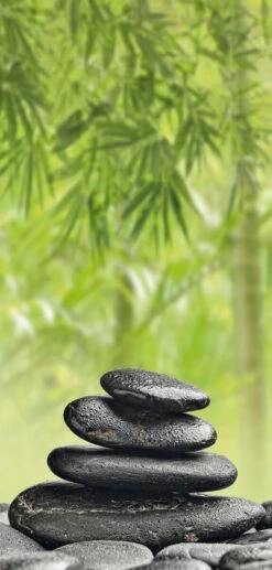 Badstuber Sanowall Wellness Links 125x250cm