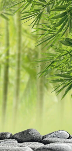 Badstuber Sanowall Wellness Rechts 125x250cm