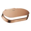 Grohe Selection Toiletrolhouder Met Deksel Brushed Warm Sunset 1 Grohe Selection Toiletrolhouder Met Deksel Brushed Warm Sunset -hotbath winkel grohe selection toiletrolhouder met deksel brushed warm sunset 1059081 2