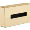 Hansgrohe AddStoris Box Voor Make-up Doekjes Brons Geborsteld -hotbath winkel hansgrohe addstoris box voor make up doekjes brons geborsteld 1358043