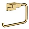 Hansgrohe AddStoris Wc-rolhouder Zonder Klep Goud Gepolijst 1 Hansgrohe AddStoris Wc-rolhouder Zonder Klep Goud Gepolijst -hotbath winkel hansgrohe addstoris wc rolhouder zonder klep goud gepolijst 1358095