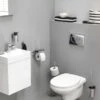 Tiger Colar Toiletrolhouder Met Planchet RVS Gepolijst 2 Tiger Colar Toiletrolhouder Met Planchet RVS Gepolijst -hotbath winkel tiger colar toiletrolhouder met planchet rvs gepolijst 1314230346 6